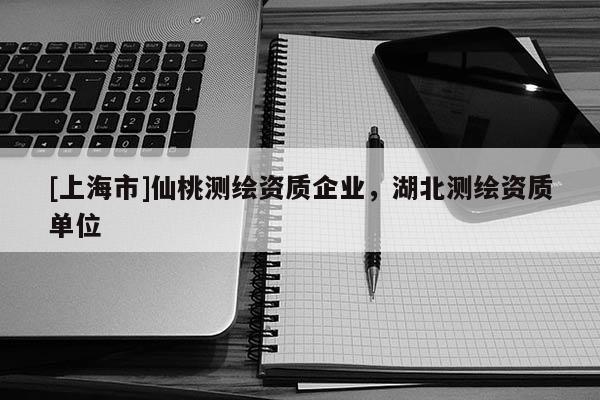 [上海市]仙桃测绘资质企业，湖北测绘资质单位