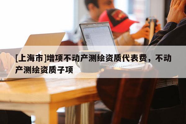 [上海市]增项不动产测绘资质代表费，不动产测绘资质子项
