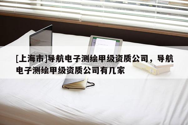 [上海市]导航电子测绘甲级资质公司，导航电子测绘甲级资质公司有几家