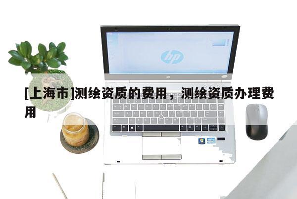 [上海市]测绘资质的费用，测绘资质办理费用