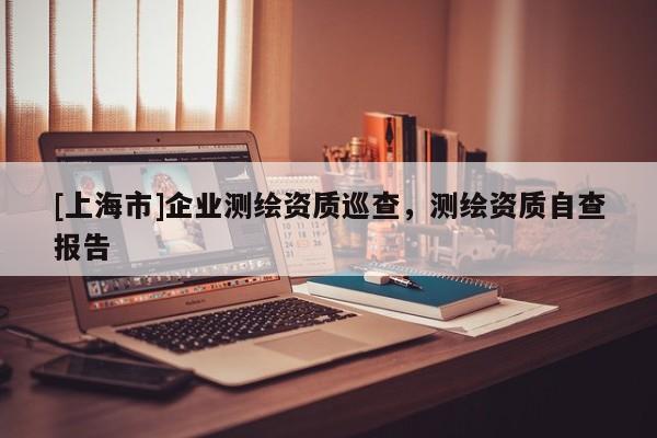 [上海市]企业测绘资质巡查，测绘资质自查报告