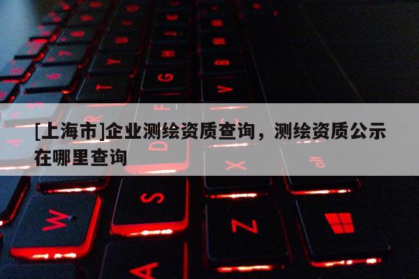 [上海市]企业测绘资质查询，测绘资质公示在哪里查询