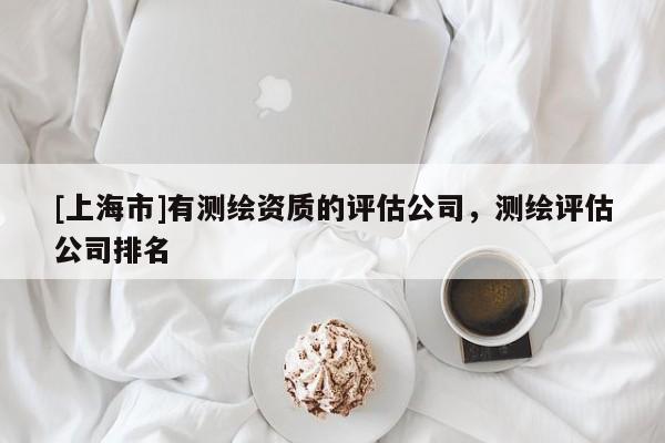 [上海市]有测绘资质的评估公司，测绘评估公司排名