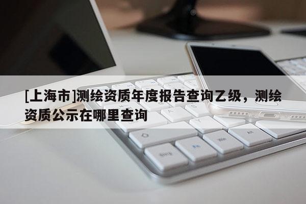 [上海市]测绘资质年度报告查询乙级，测绘资质公示在哪里查询