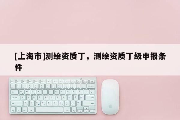 [上海市]测绘资质丁，测绘资质丁级申报条件