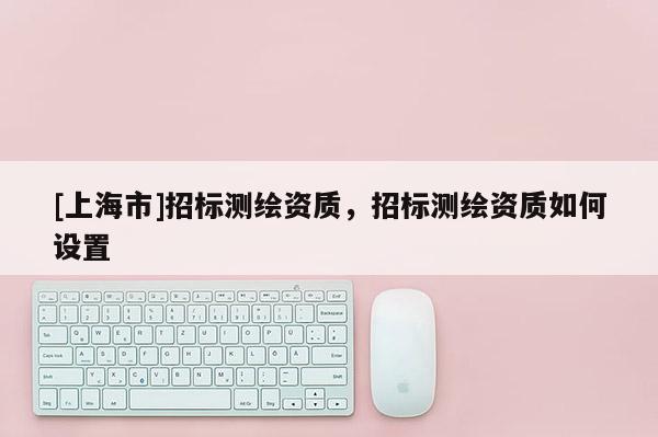 [上海市]招标测绘资质，招标测绘资质如何设置