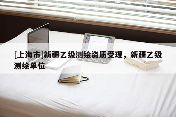 [上海市]新疆乙级测绘资质受理，新疆乙级测绘单位