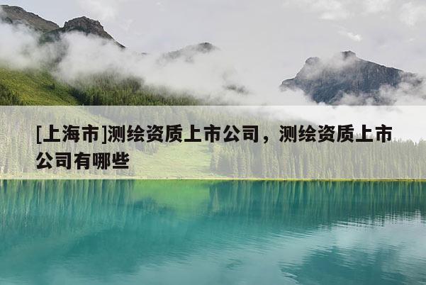 [上海市]测绘资质上市公司，测绘资质上市公司有哪些
