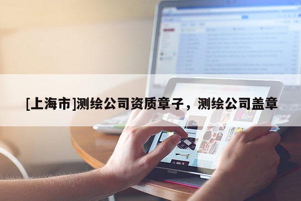 [上海市]测绘公司资质章子，测绘公司盖章