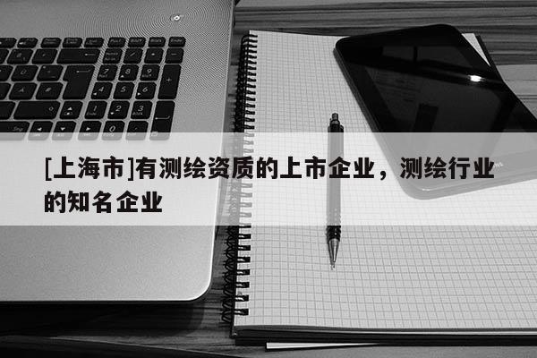 [上海市]有测绘资质的上市企业，测绘行业的知名企业