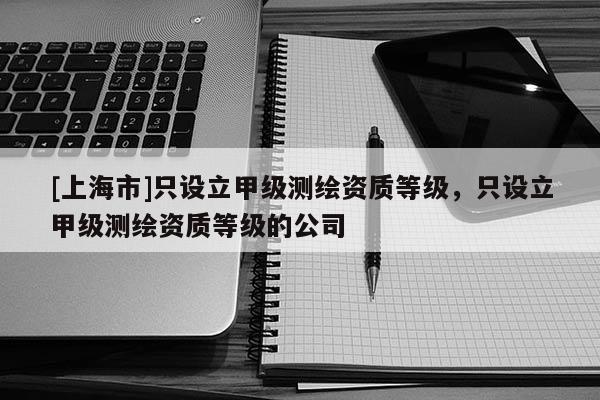[上海市]只设立甲级测绘资质等级，只设立甲级测绘资质等级的公司