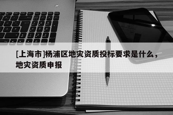 [上海市]杨浦区地灾资质投标要求是什么，地灾资质申报